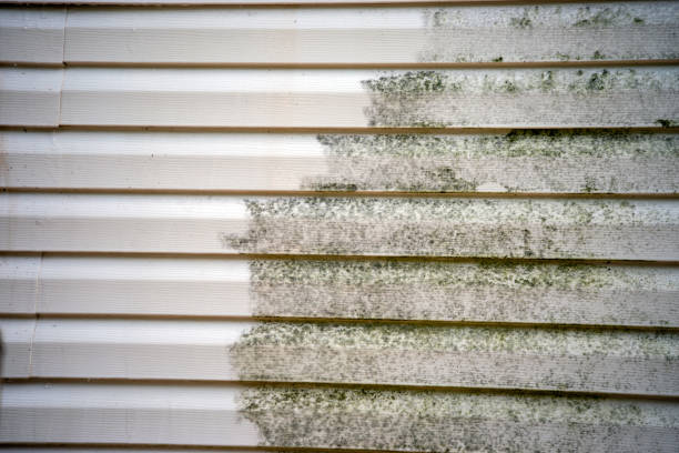Best Brick Veneer Siding  in Forestville, CA