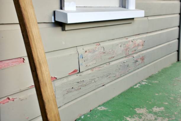 Best Fiber Cement Siding Installation  in Forestville, CA
